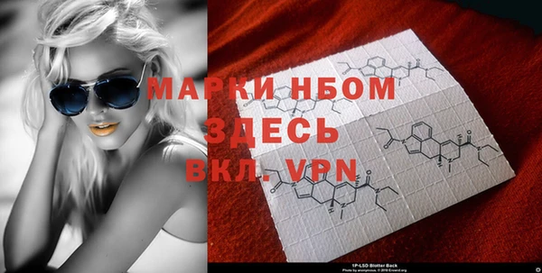 мяу мяу мука Баксан