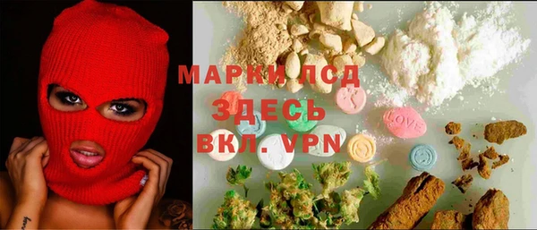 мяу мяу мука Баксан