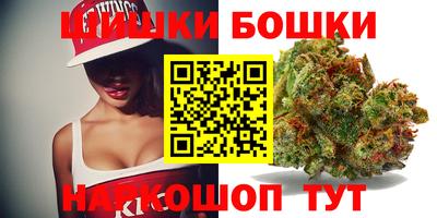 тгк Будённовск