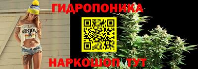 кокс Бузулук