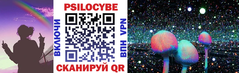 купить наркоту  Горячий Ключ  Псилоцибиновые грибы Psilocybine cubensis 