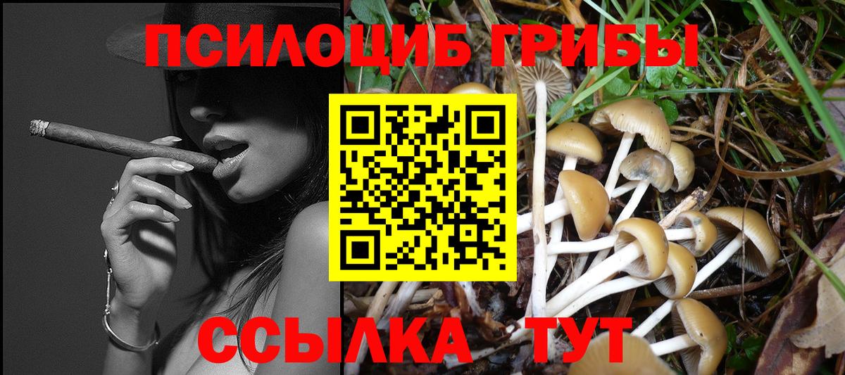 Псилоцибиновые грибы Psilocybine cubensis  Псилоцибиновые грибы ЛСД  Горячий Ключ 