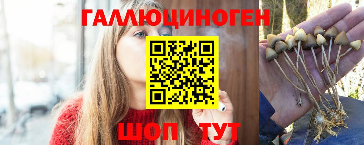 Псилоцибиновые грибы Psilocybe  Вход с VPN  Горячий Ключ 